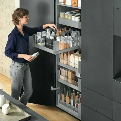 ds0343_ds_fot_fo_bau_-sall_-apr6i_-v1_16_9 blum larder unit in thrissur, kerala