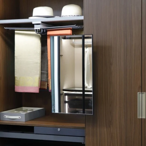 ebco-wardrobe-mirror-pullout 1 wardrobe mirror pullout in thrissur,kerala